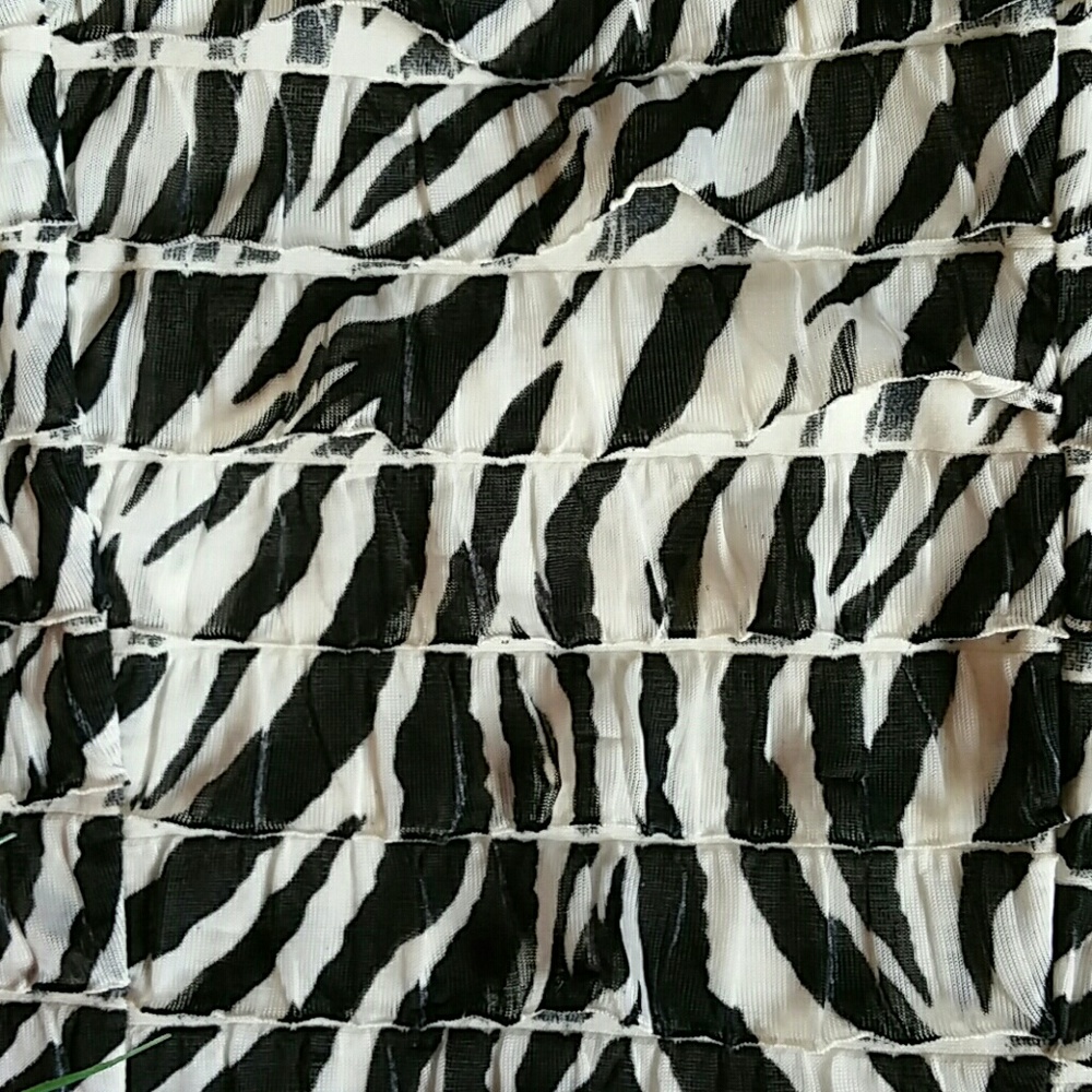 Charlotte Russe Zebra Print Strapless Dress - Picture 2 of 4